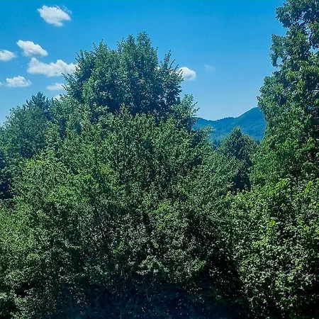 Cosy D&d By Interhome Holiday home Brod Moravice